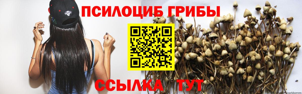 Галлюциногенные грибы мицелий Краснотурьинск